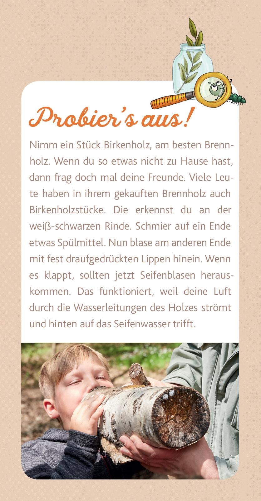 Beispielinhalt (Bild) Peter & Piet Meine großen Waldexperimente