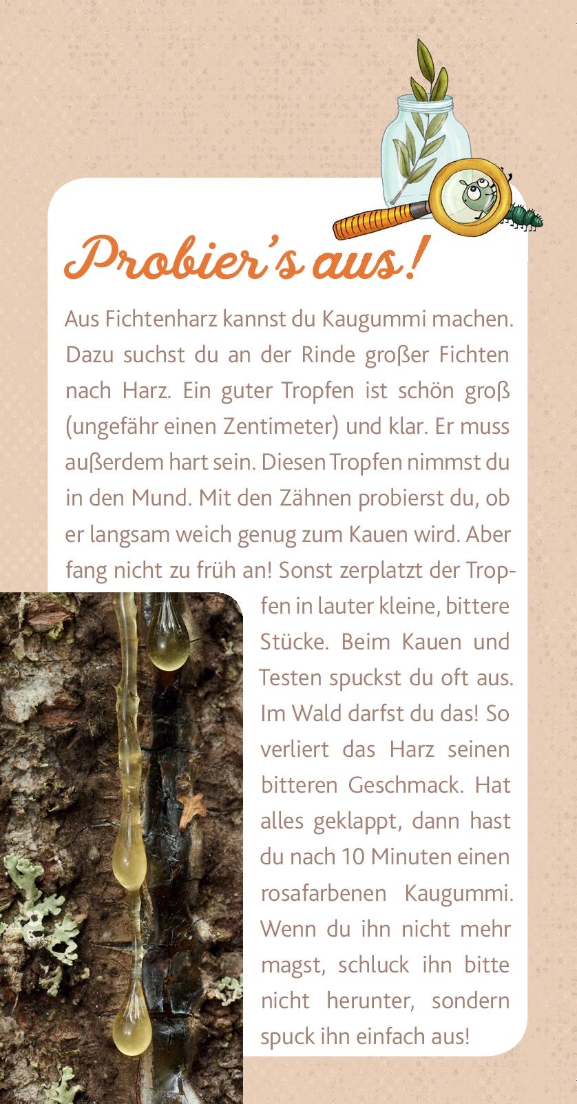 Beispielinhalt (Bild) Peter & Piet Meine großen Waldexperimente