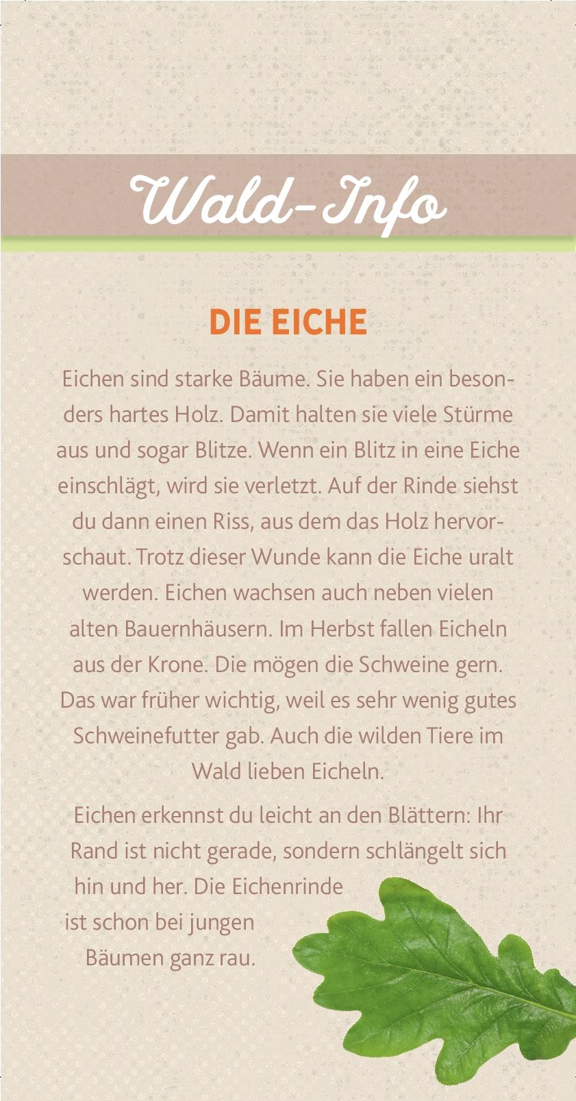 Beispielinhalt (Bild) Peter & Piet Meine großen Waldexperimente