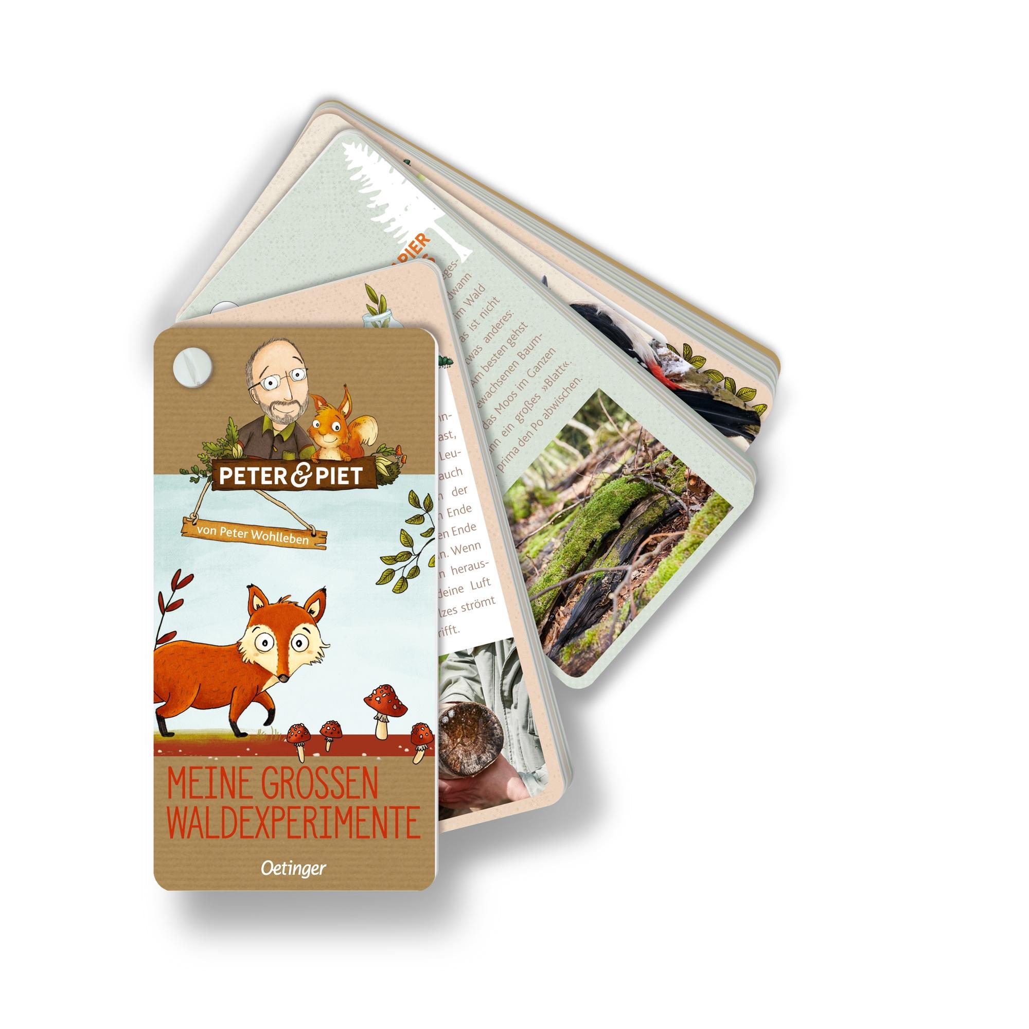 Vorderes Coverbild Peter & Piet Meine großen Waldexperimente