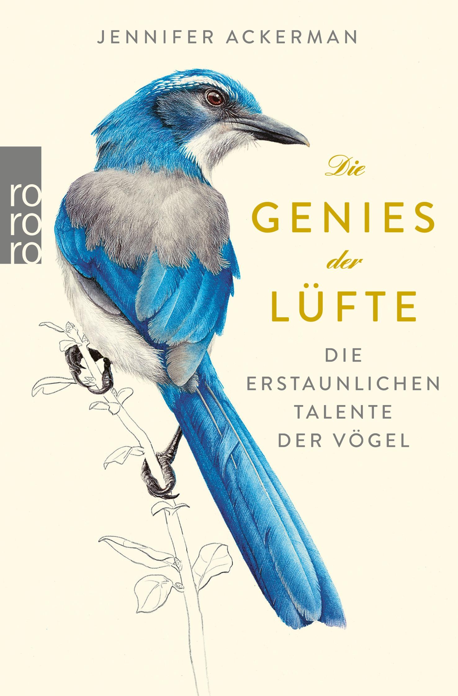 Vorderes Coverbild Die Genies der Lüfte