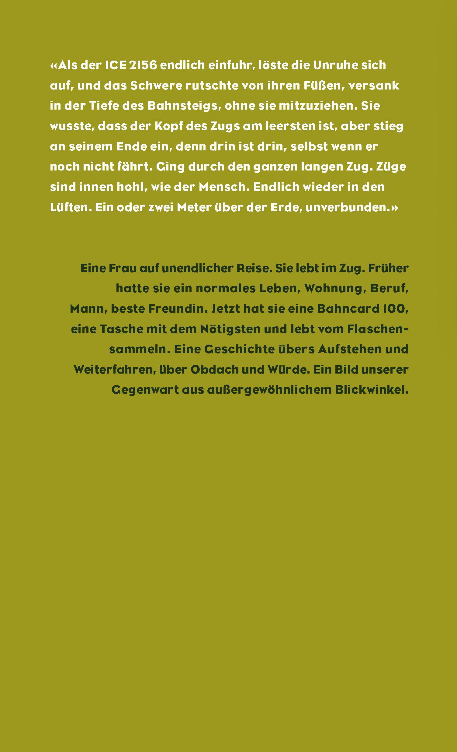 Rückseitencover Fliegen