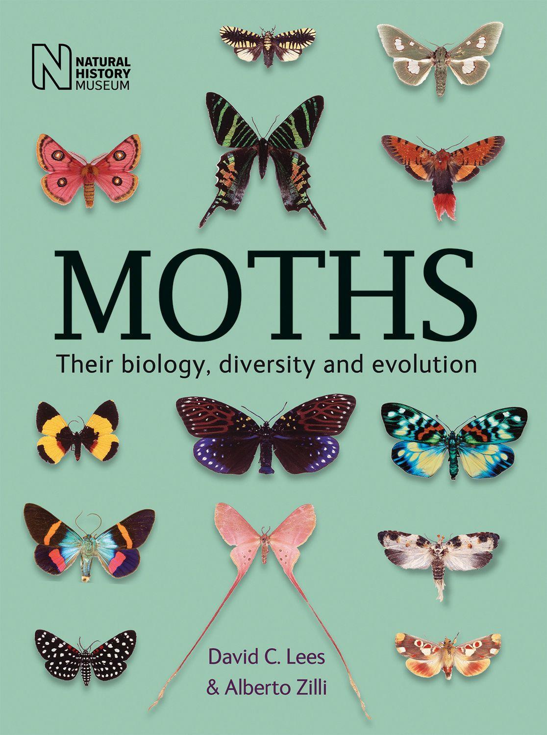 Vorderes Coverbild Moths