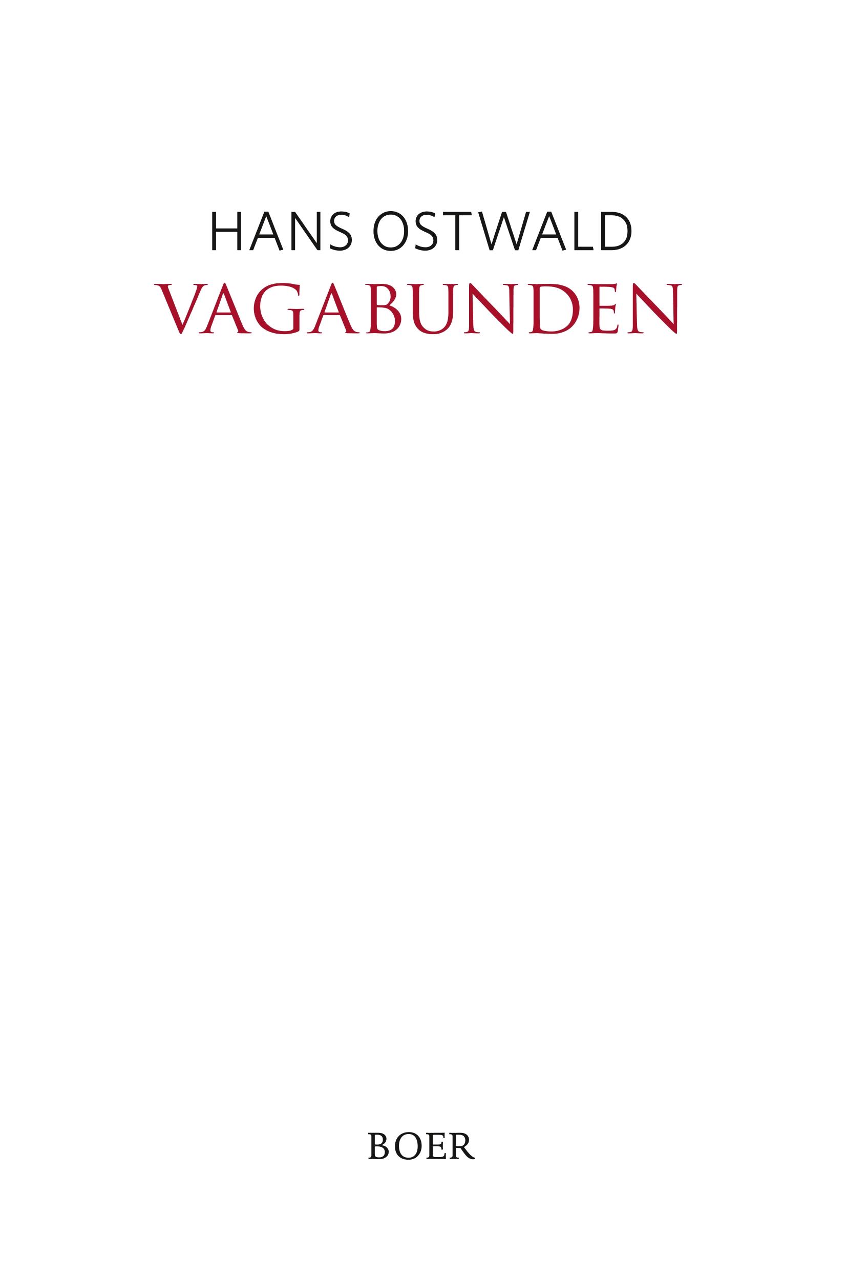 Vorderes Coverbild Vagabunden
