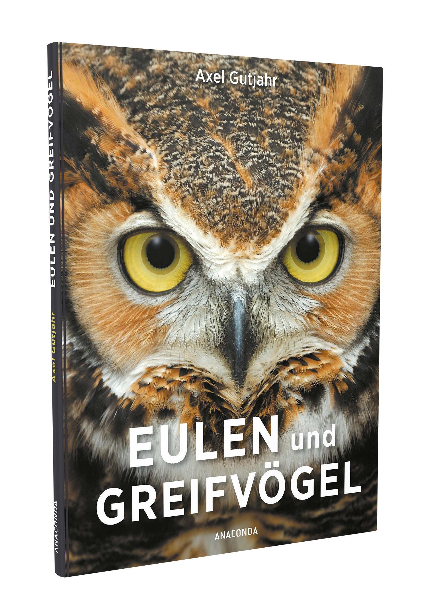 Beispielinhalt (Bild) Eulen und Greifvögel