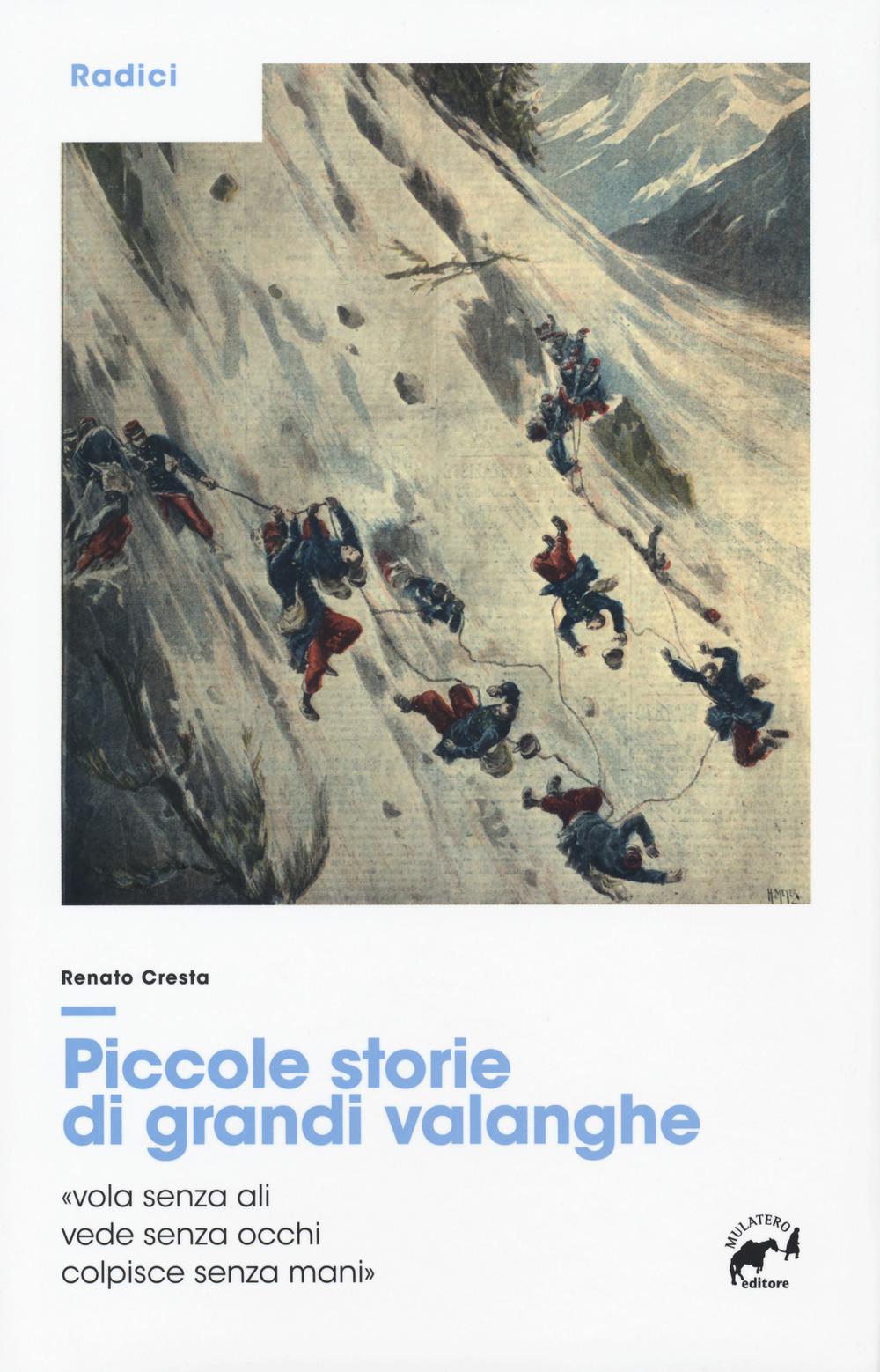Vorderes Coverbild Piccole storie di grandi valanghe