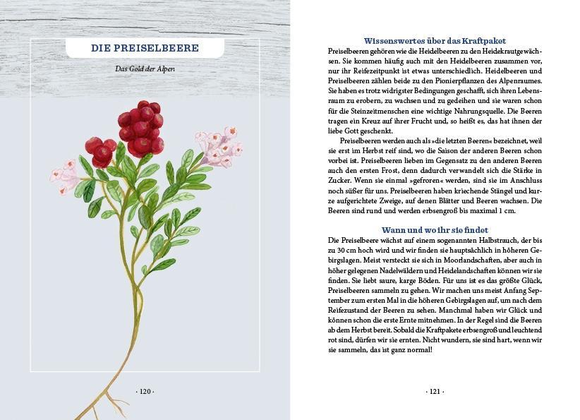 Beispielinhalt (Bild) Unser heimisches Superfood