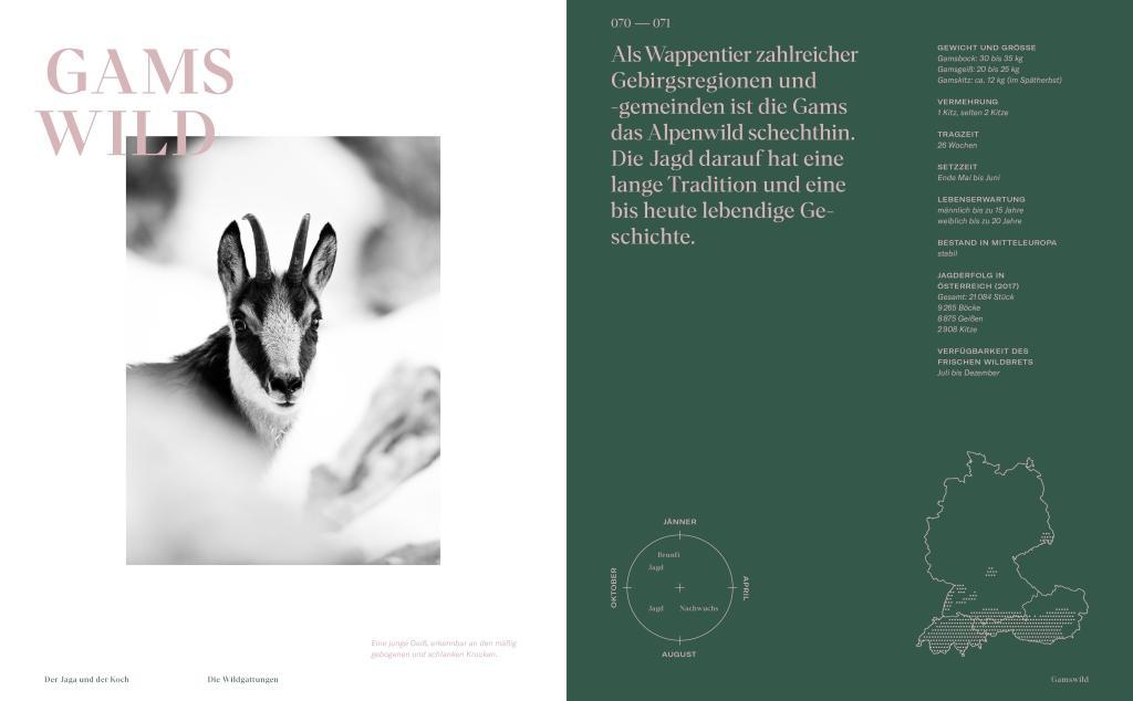 Beispielinhalt (Bild) Der Jaga und der Koch