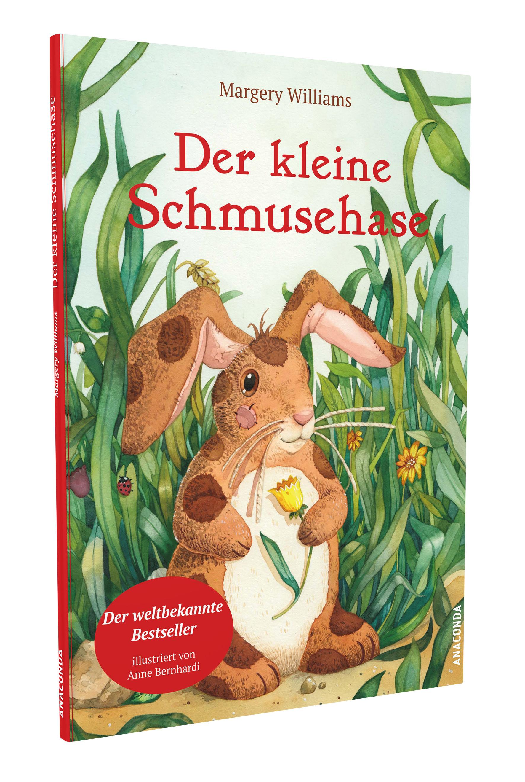 Beispielinhalt (Bild) Der kleine Schmusehase