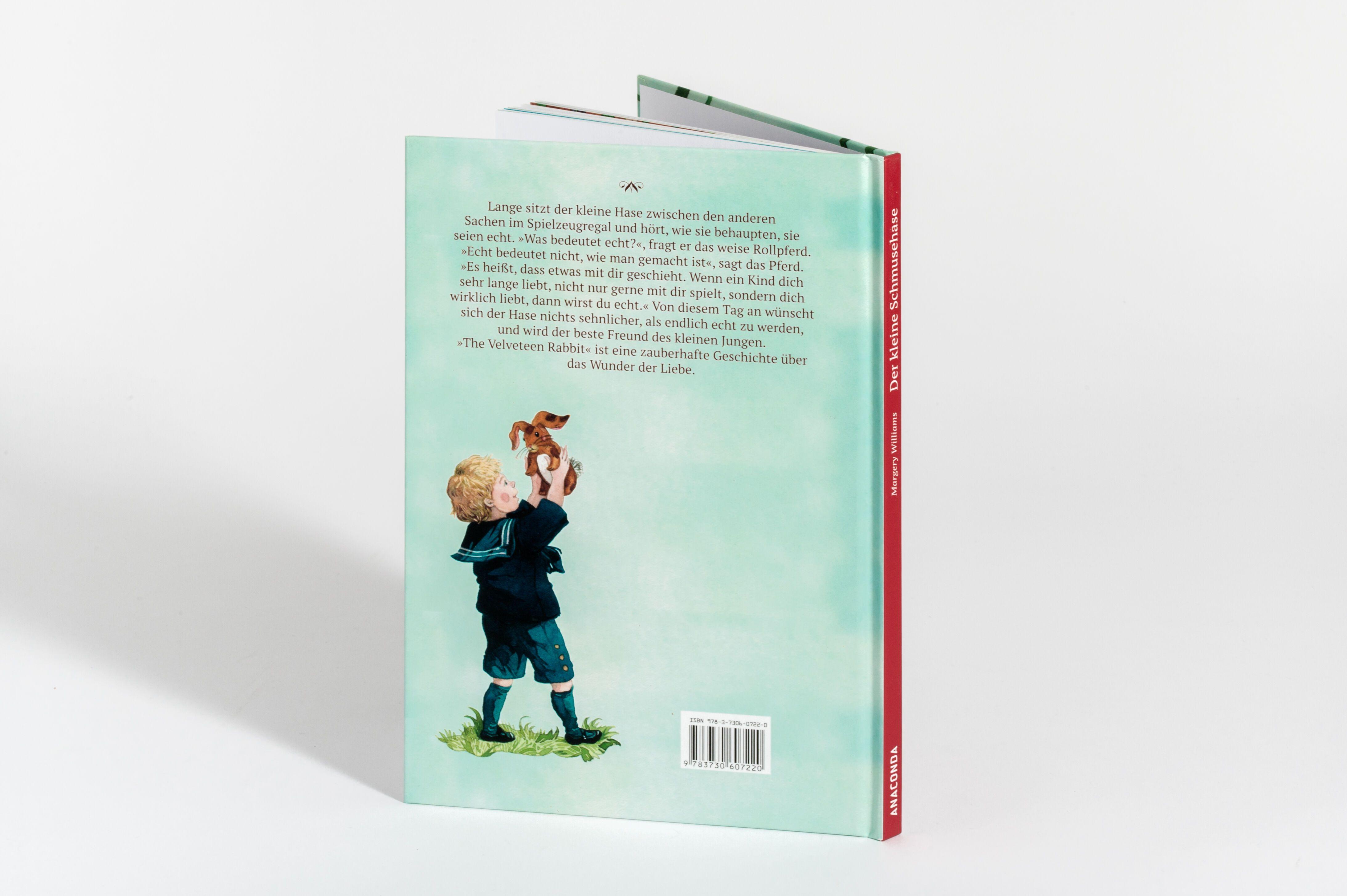 Beispielinhalt (Bild) Der kleine Schmusehase