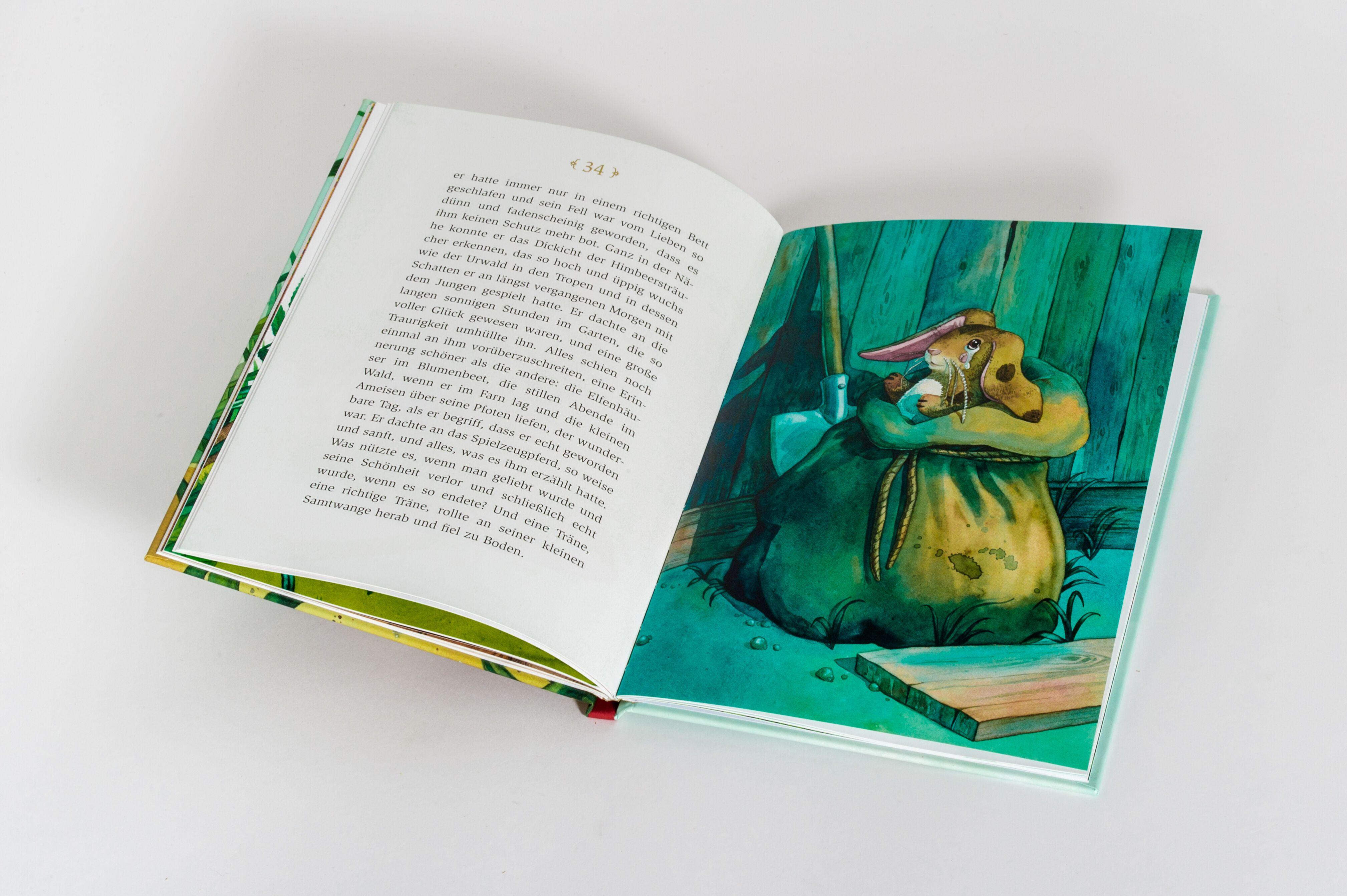 Beispielinhalt (Bild) Der kleine Schmusehase