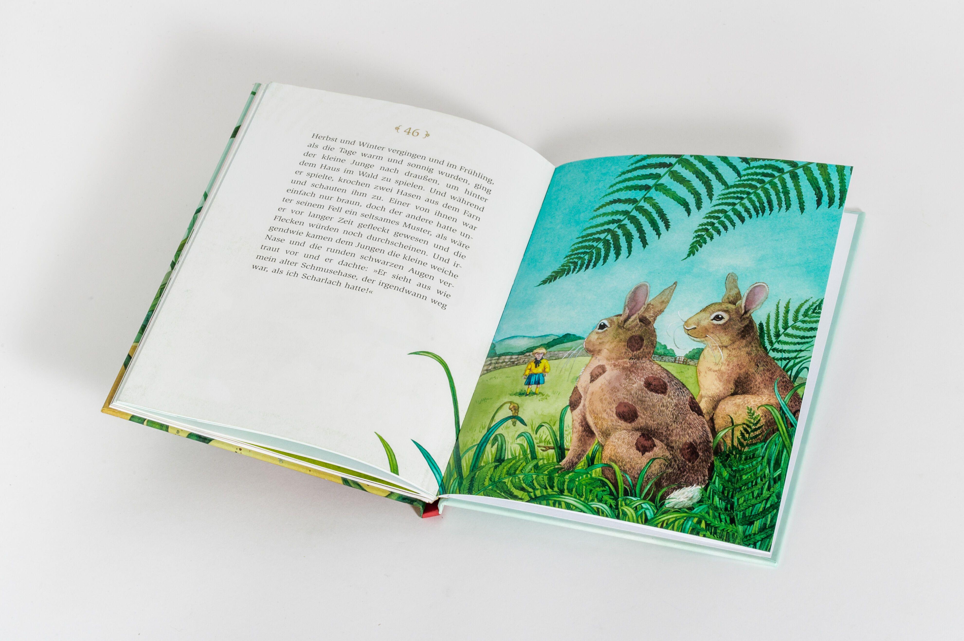 Beispielinhalt (Bild) Der kleine Schmusehase