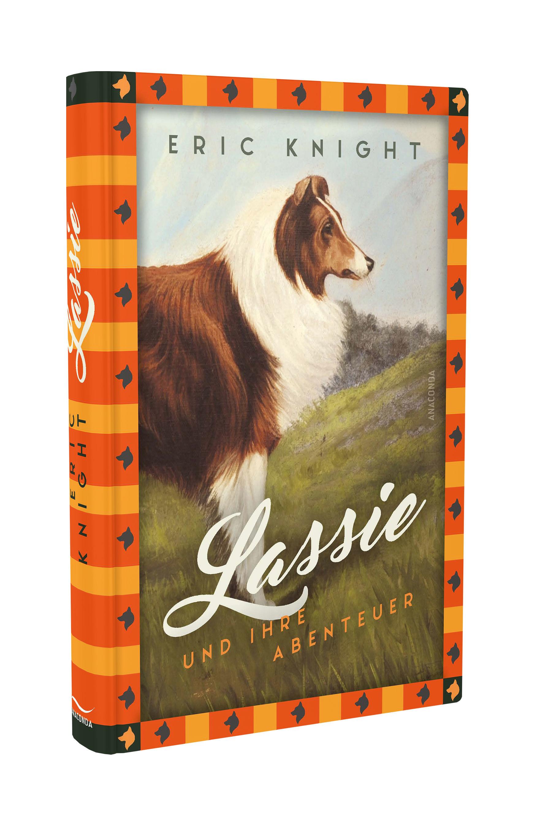 Beispielinhalt (Bild) Lassie und ihre Abenteuer