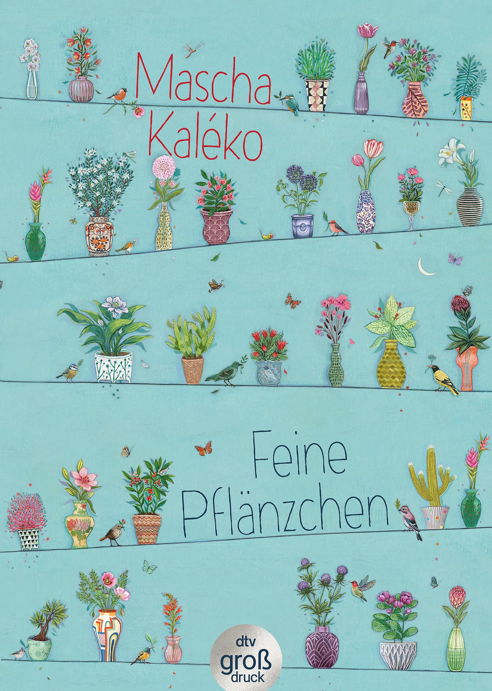 Vorderes Coverbild Feine Pflänzchen