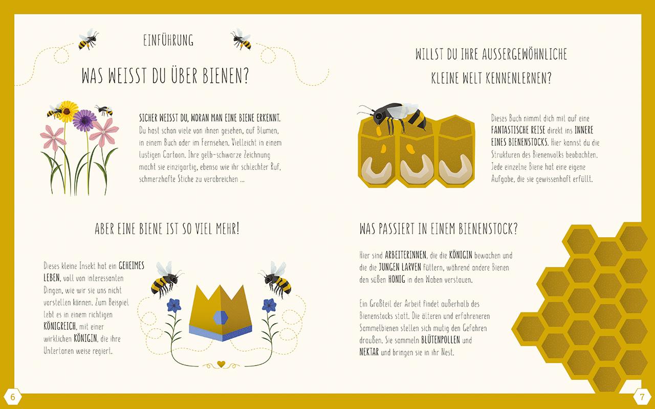 Beispielinhalt (Bild) Die Welt der Bienen