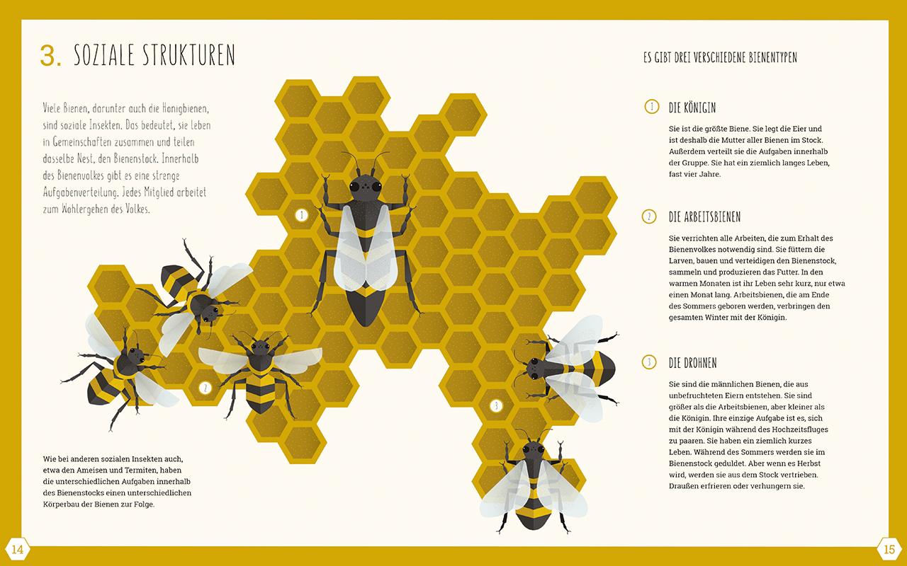Beispielinhalt (Bild) Die Welt der Bienen
