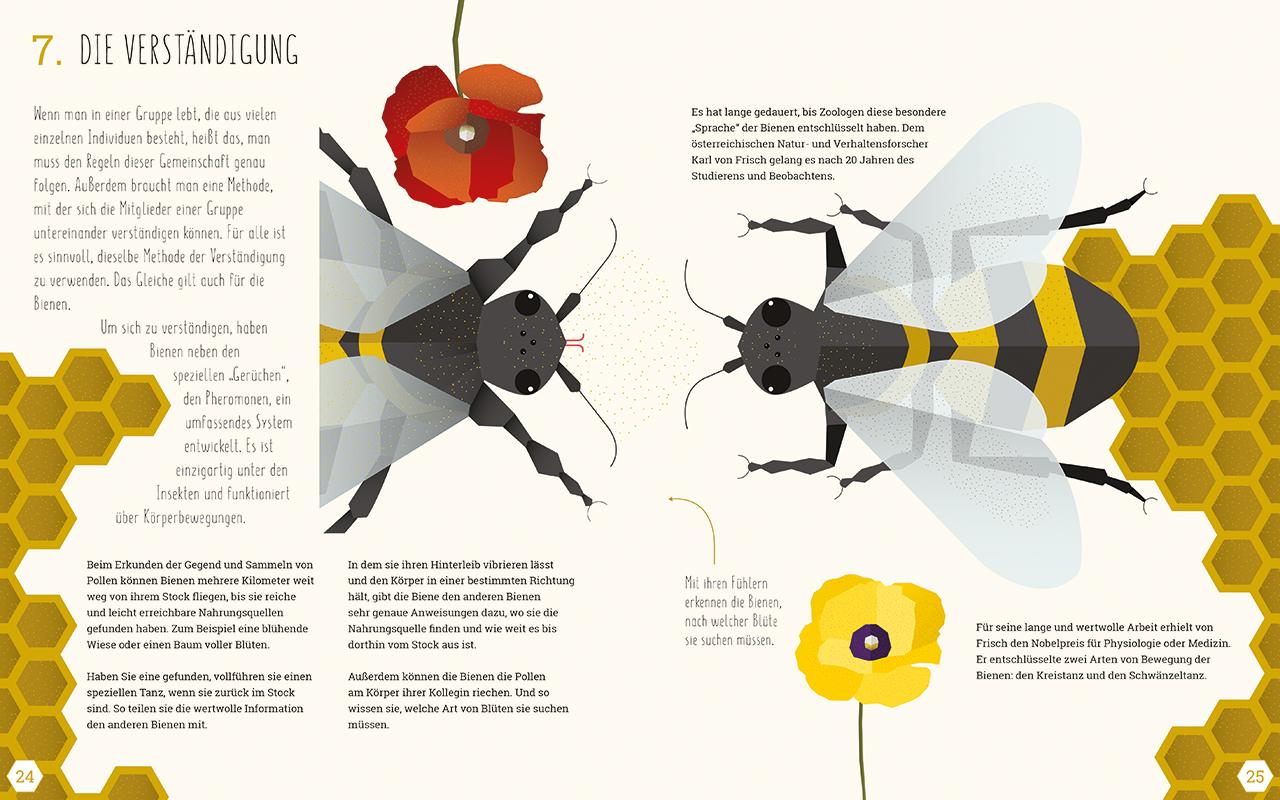 Beispielinhalt (Bild) Die Welt der Bienen