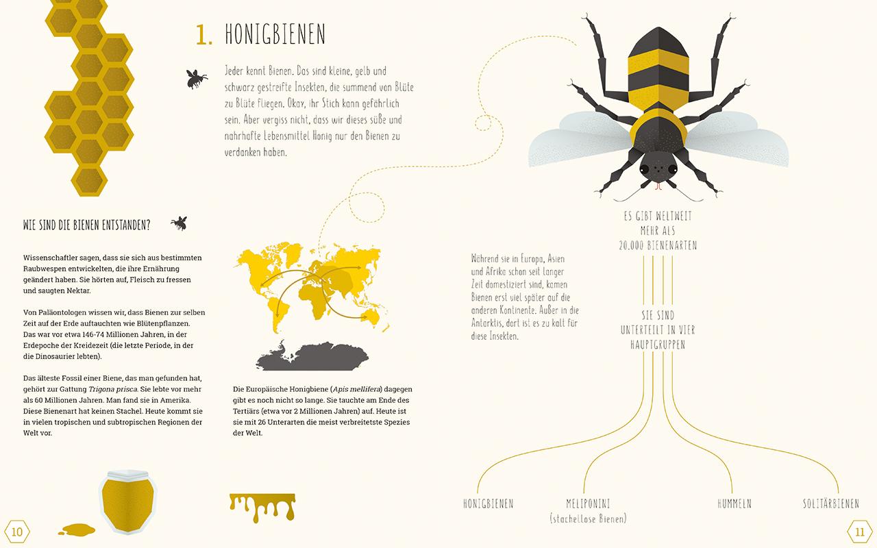 Beispielinhalt (Bild) Die Welt der Bienen