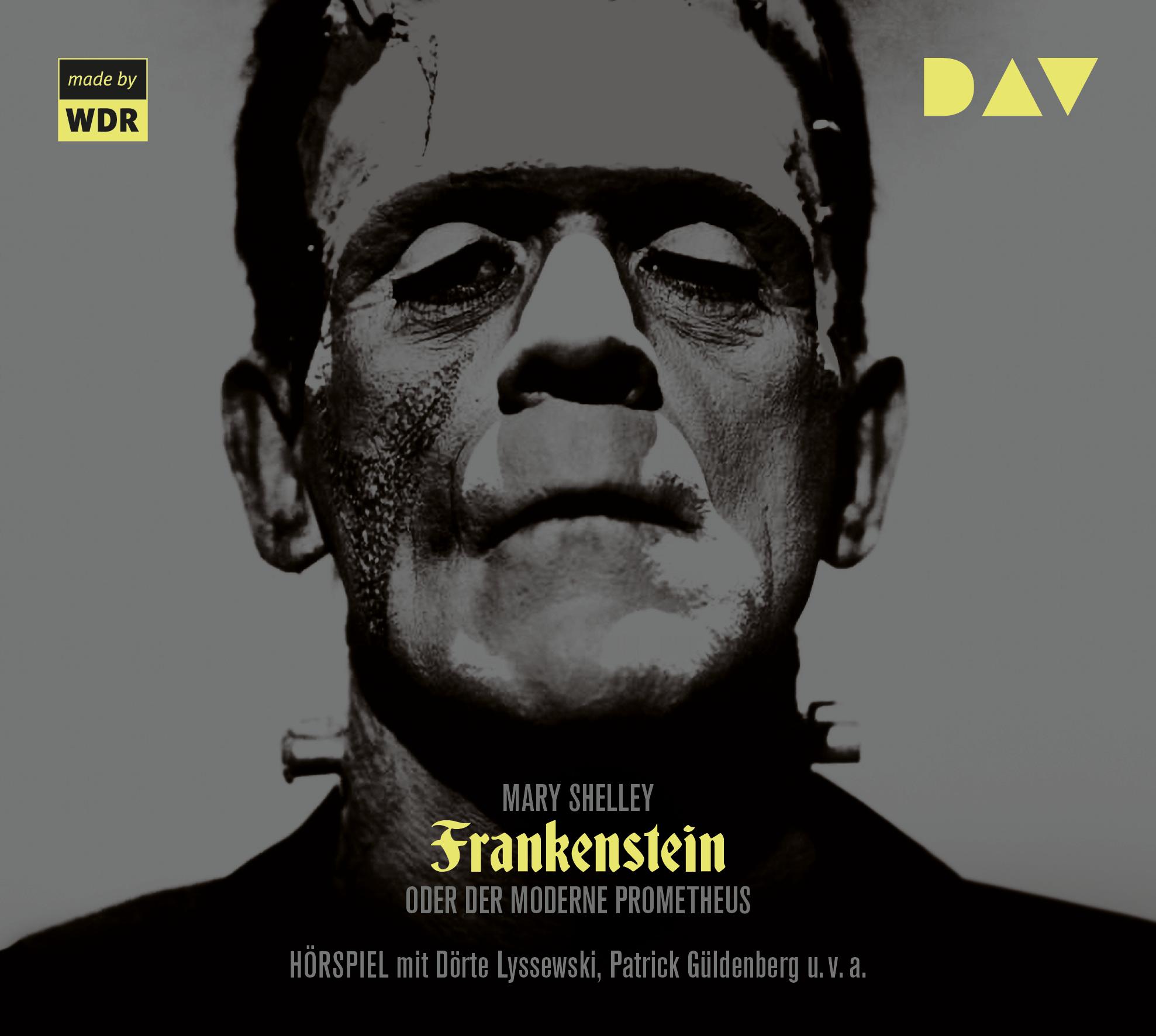 Vorderes Coverbild Frankenstein oder Der moderne Prometheus