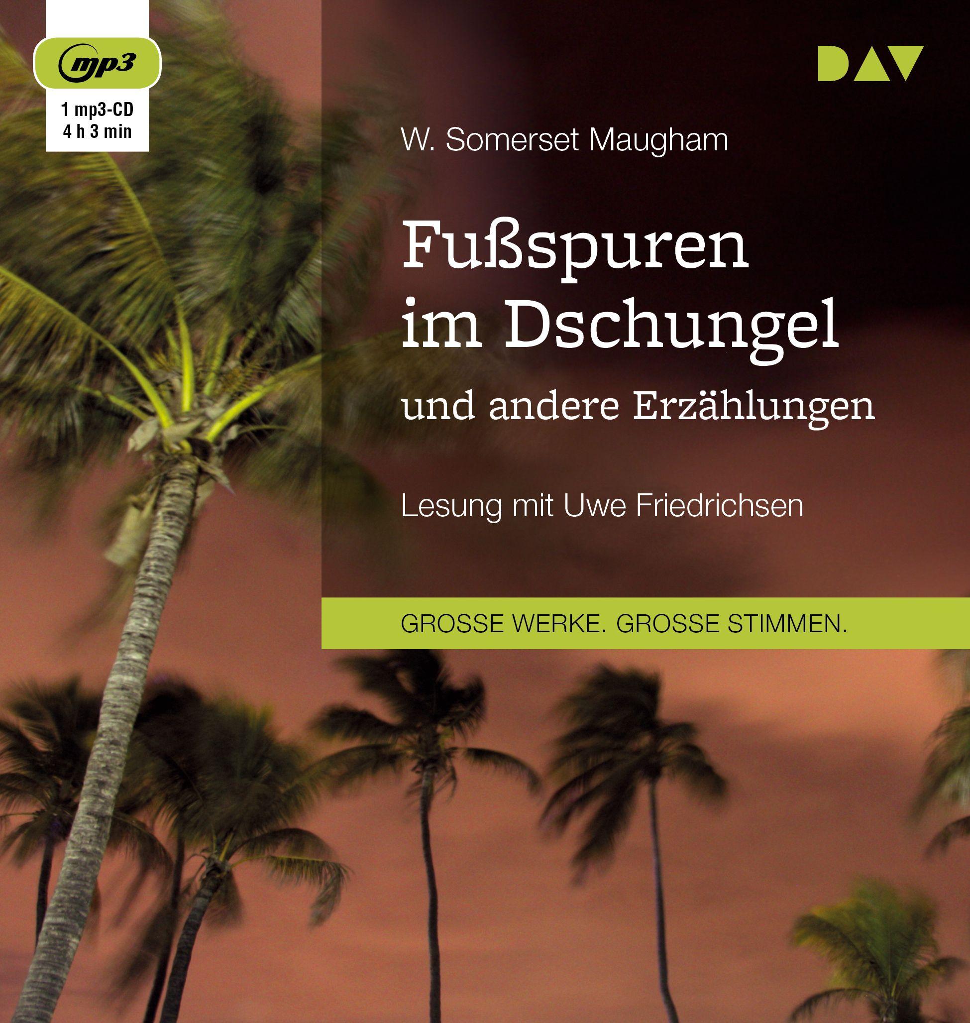 Vorderes Coverbild Fußspuren im Dschungel und andere Erzählungen