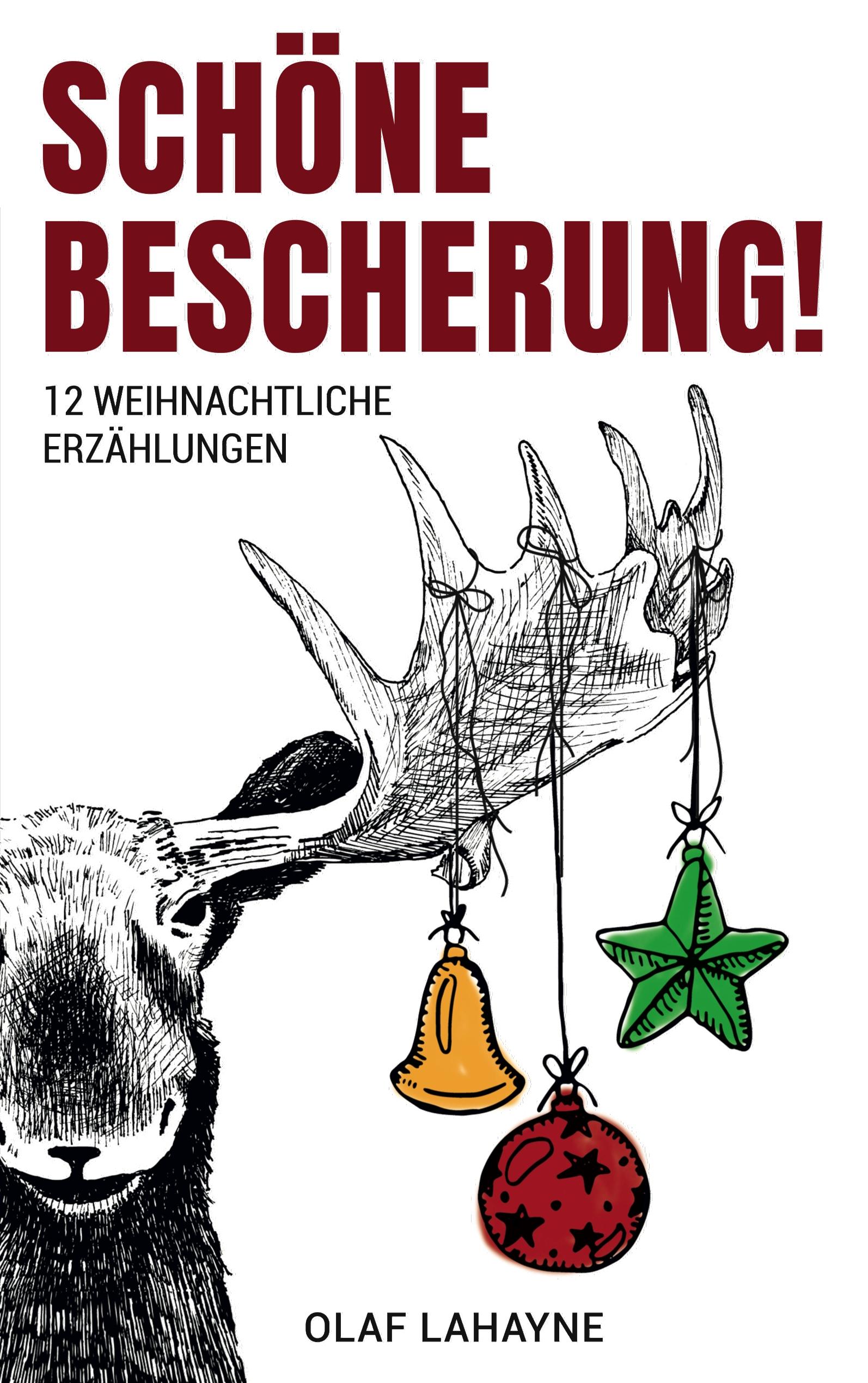 Vorderes Coverbild Schöne Bescherung!