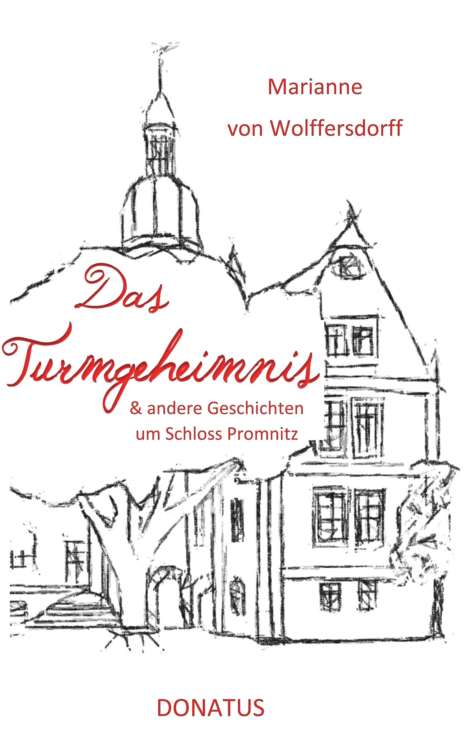 Vorderes Coverbild Das Turmgeheimnis
