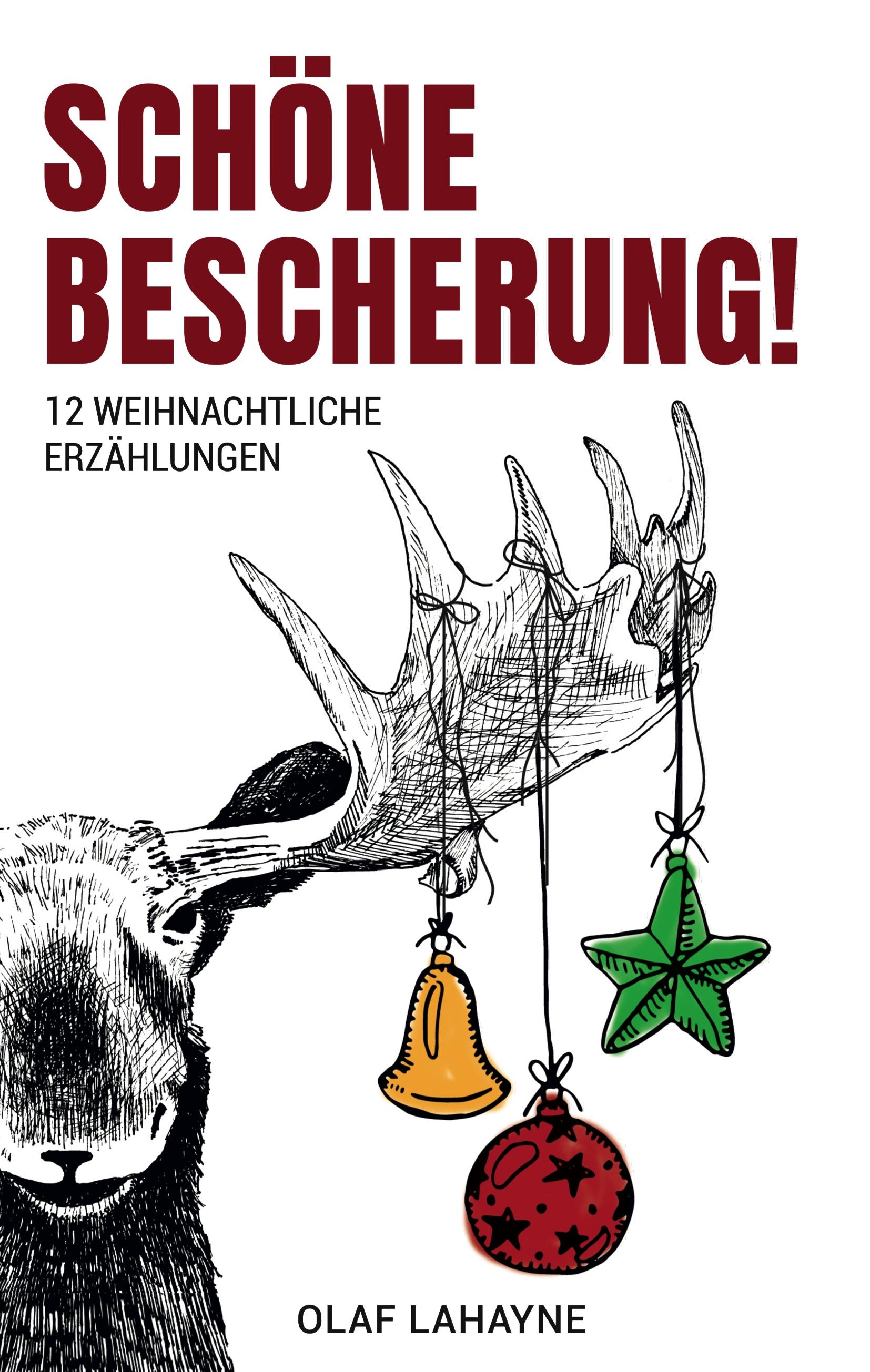 Vorderes Coverbild Schöne Bescherung!