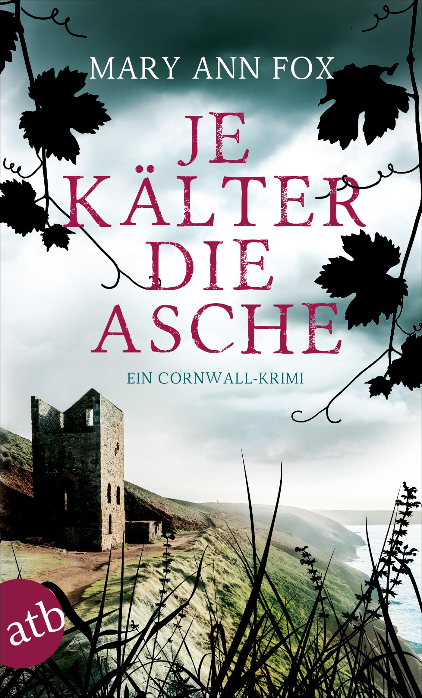 Vorderes Coverbild Je kälter die Asche