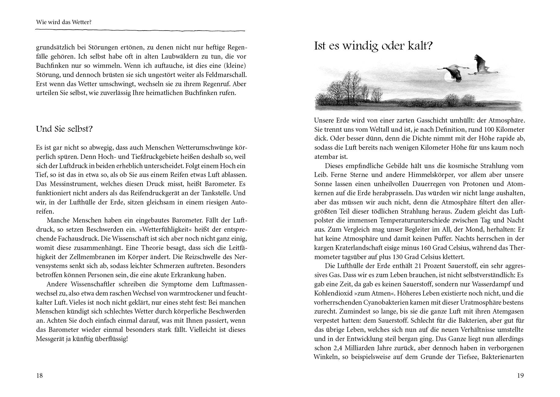 Beispielinhalt (Bild) Kranichflug und Blumenuhr