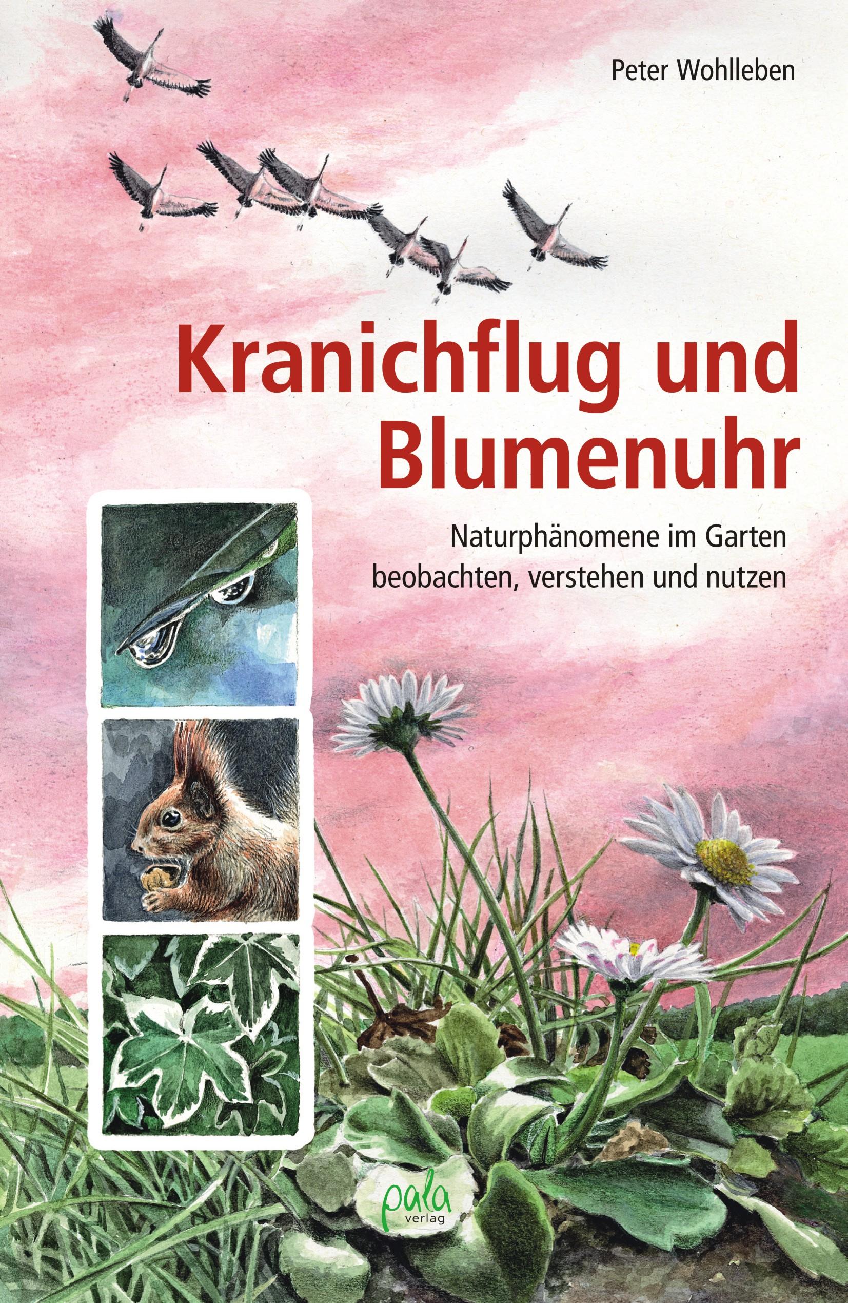 Vorderes Coverbild Kranichflug und Blumenuhr