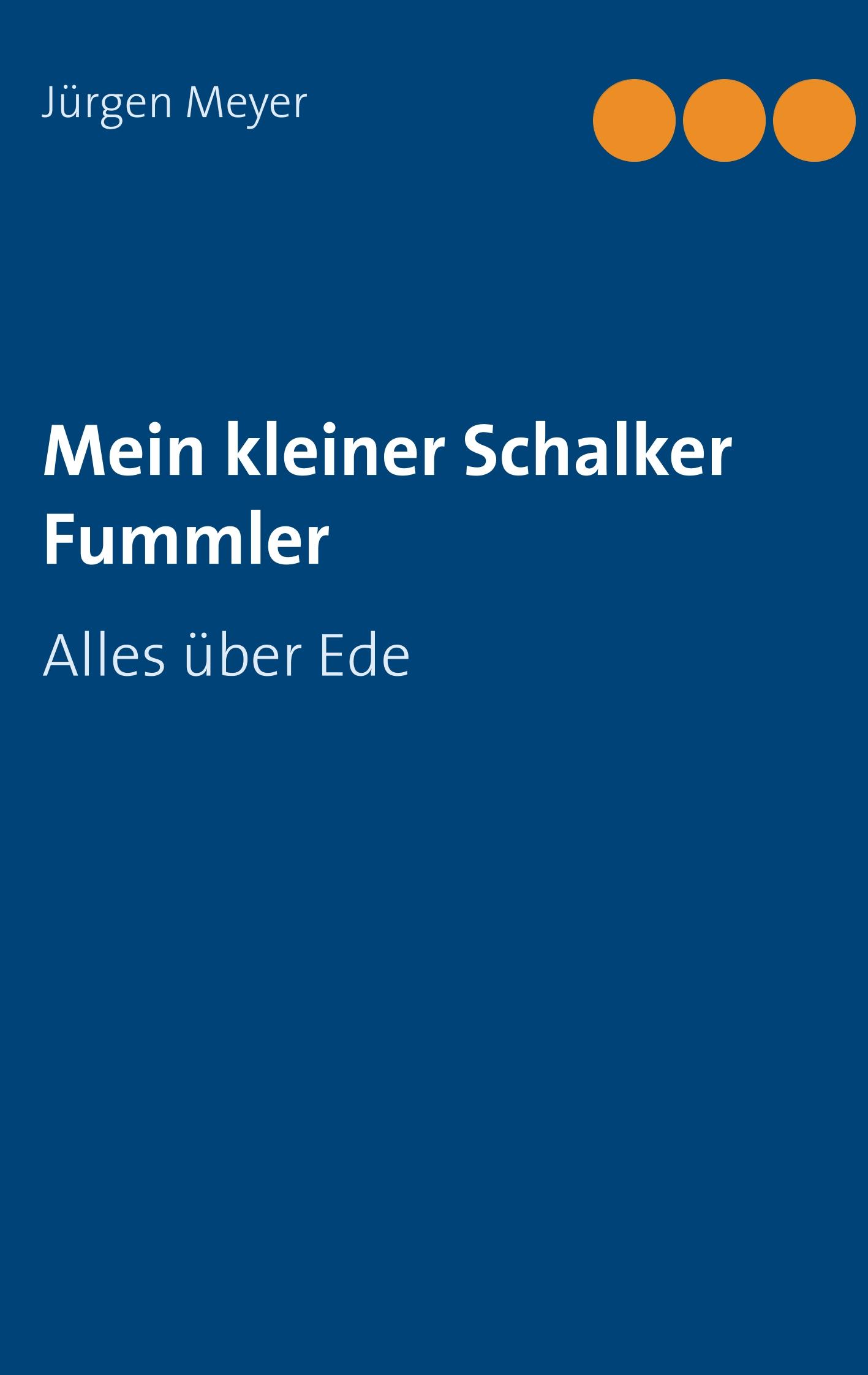 Vorderes Coverbild Mein kleiner Schalker Fummler
