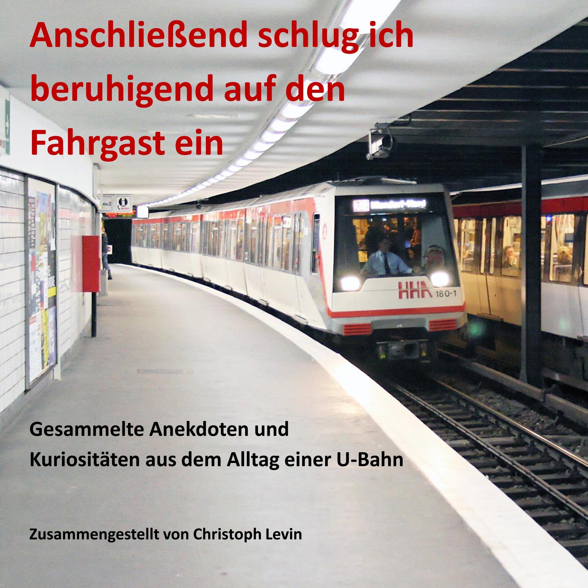Vorderes Coverbild Anschließend schlug ich beruhigend auf den Fahrgast ein