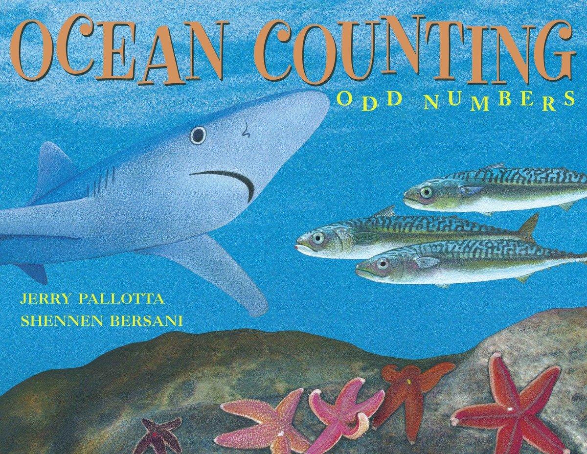 Vorderes Coverbild Ocean Counting