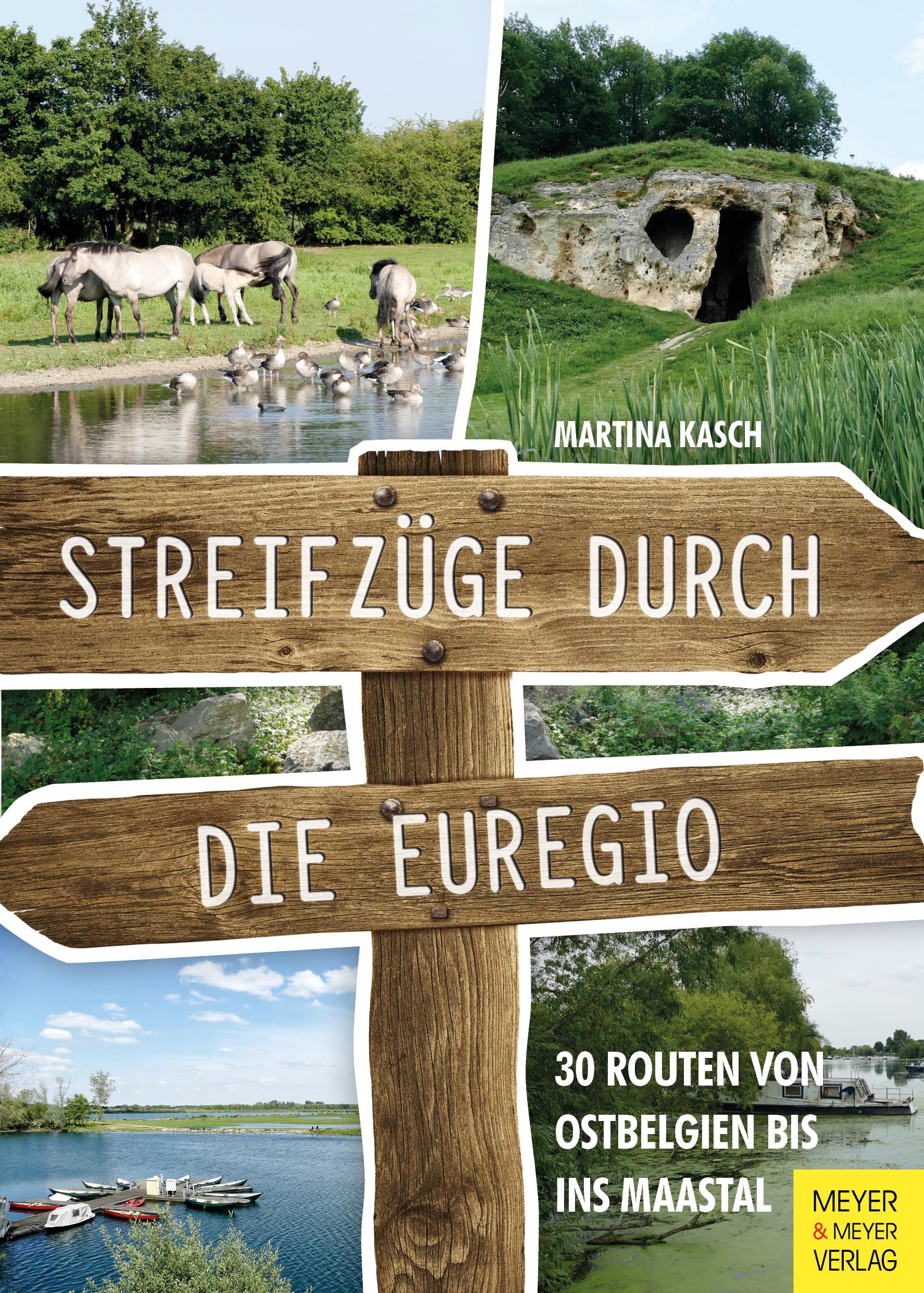 Vorderes Coverbild Streifzüge durch die Euregio