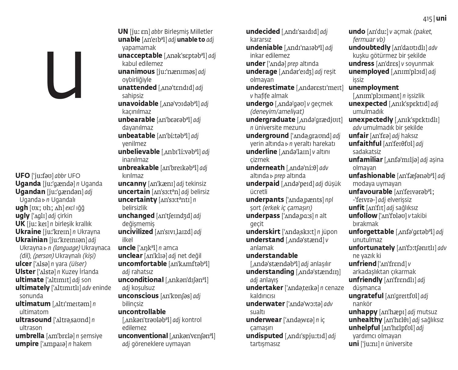 Beispielinhalt (Bild) Turkish Essential Dictionary