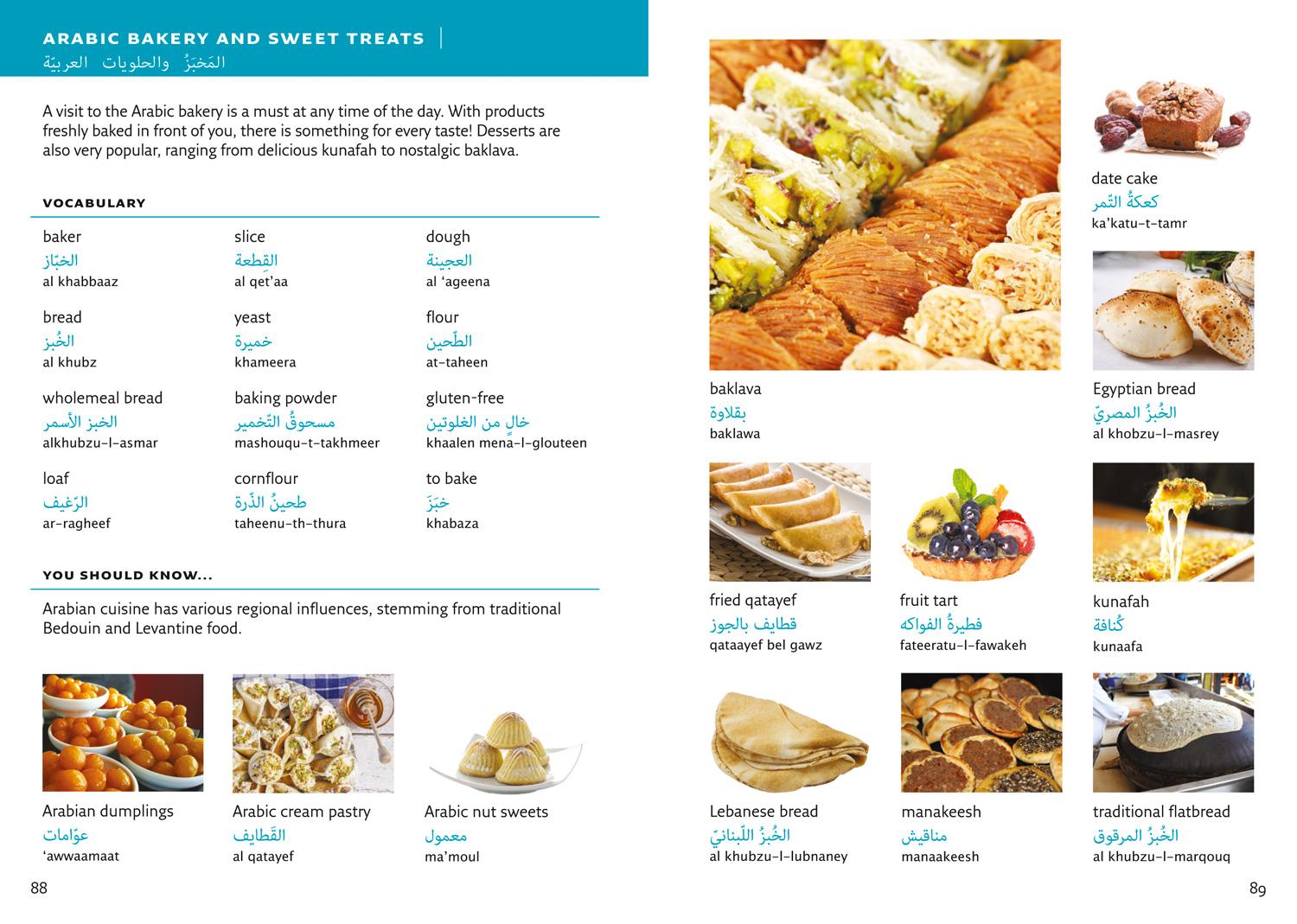 Beispielinhalt (Bild) Collins Arabic Visual Dictionary