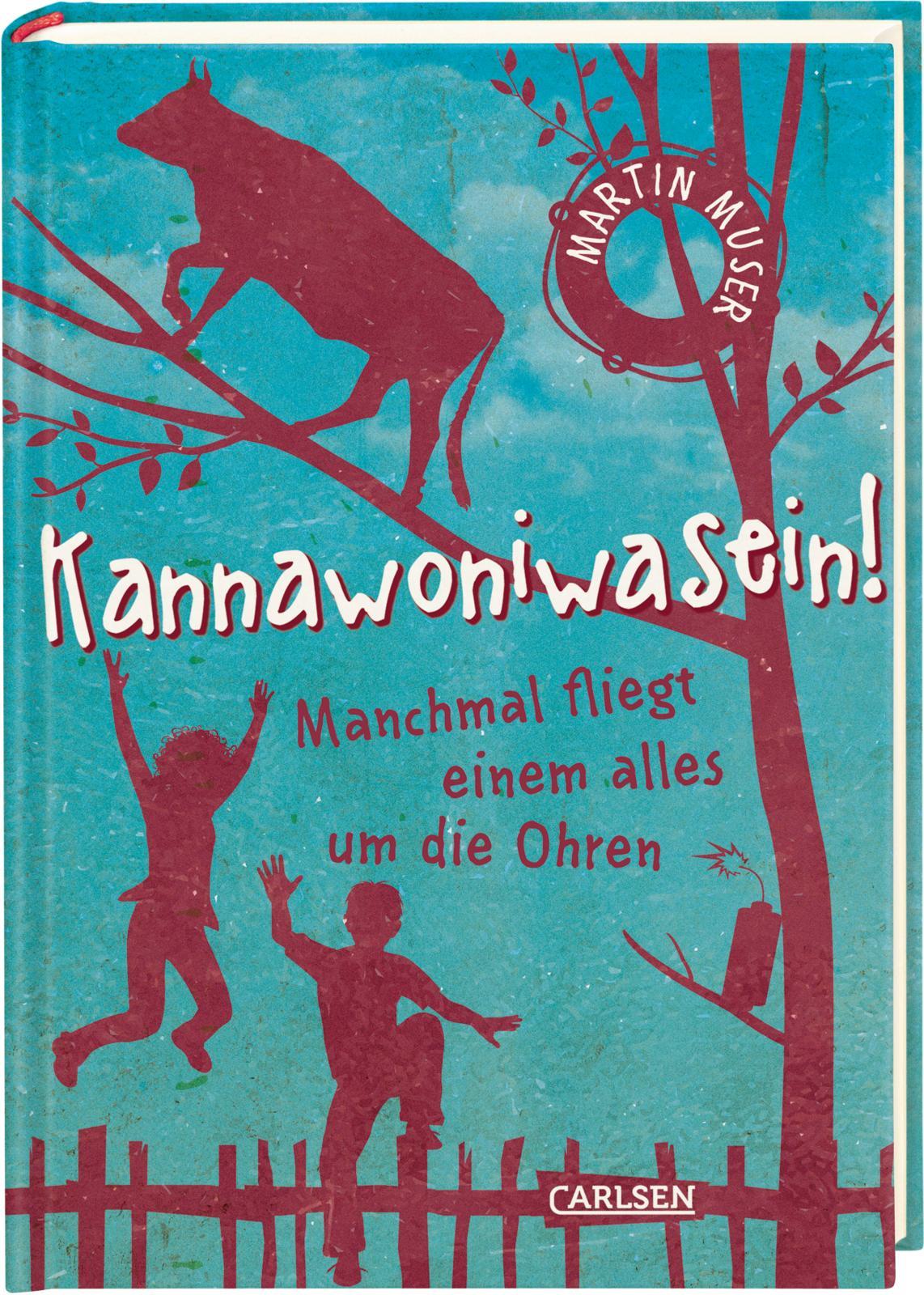 Vorderes Coverbild Kannawoniwasein 02 - Manchmal fliegt einem alles um die Ohren