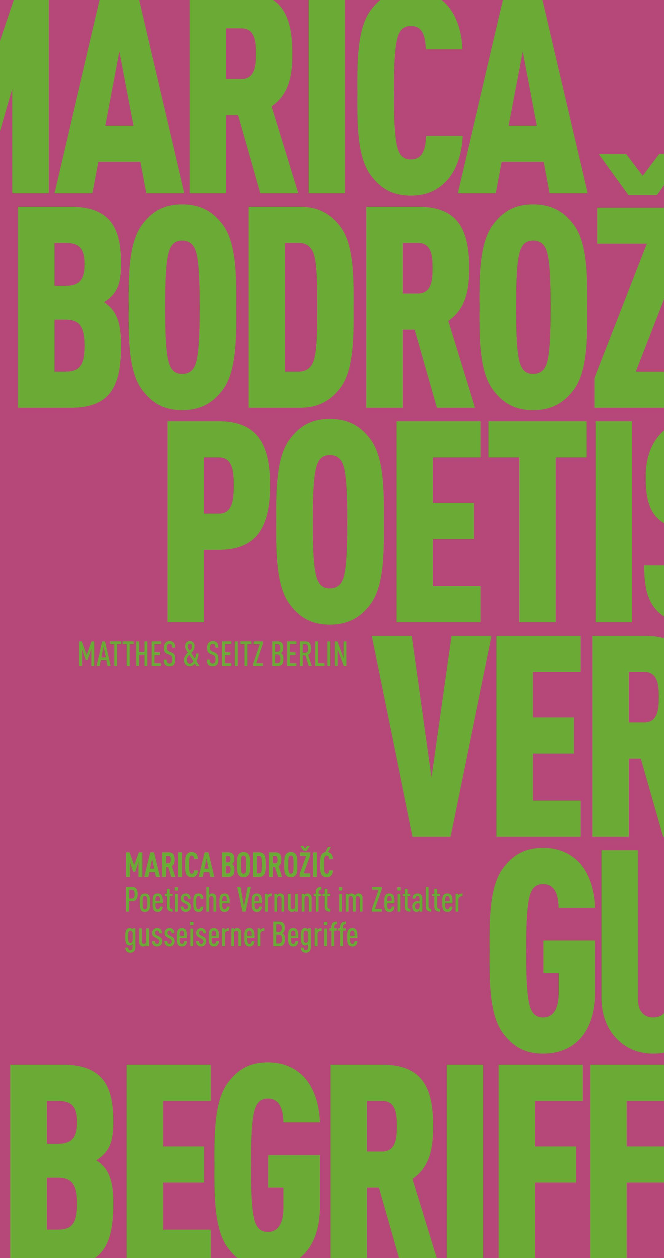 Vorderes Coverbild Poetische Vernunft im Zeitalter gusseiserner Begriffe