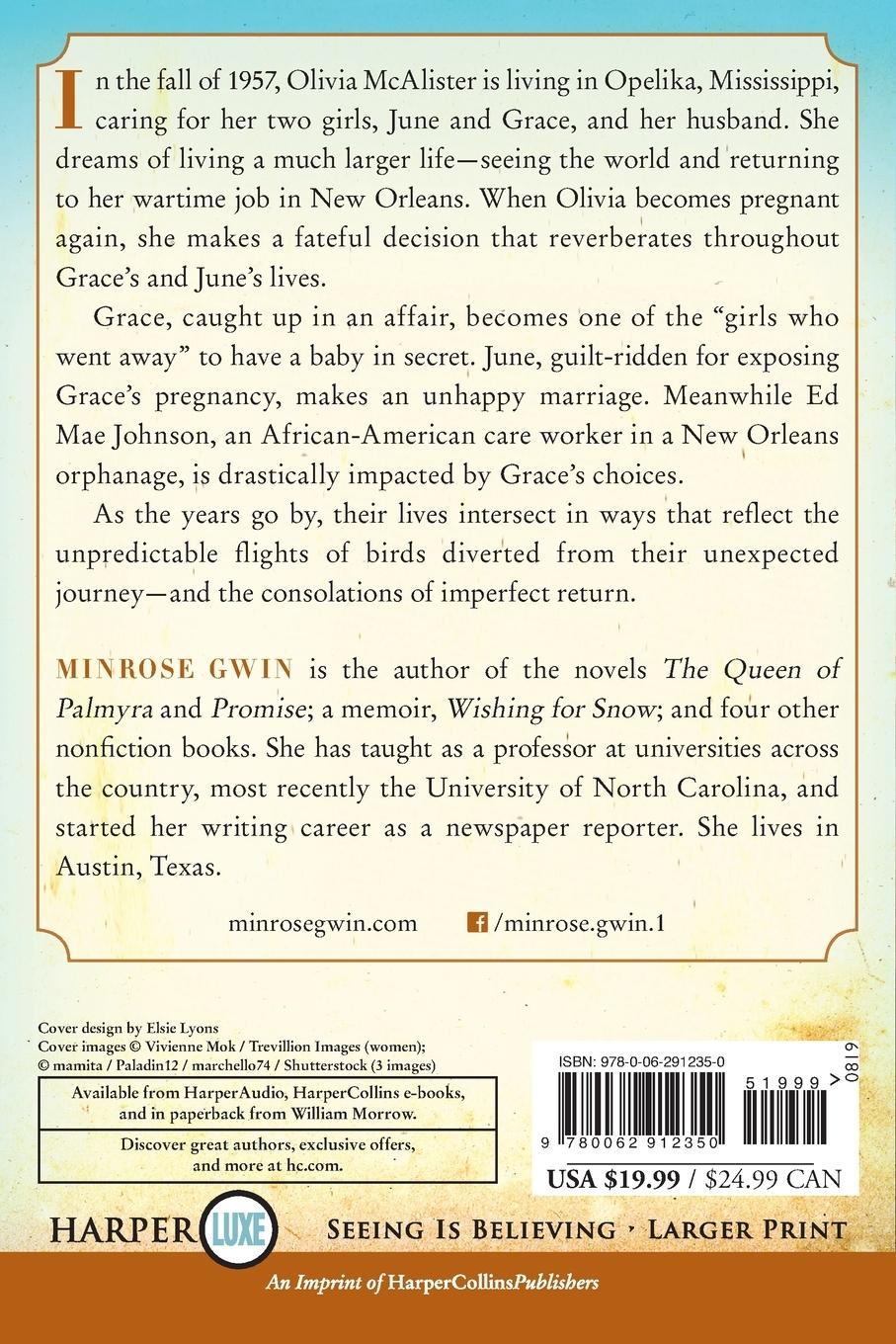 Rückseitencover Accidentals LP, The