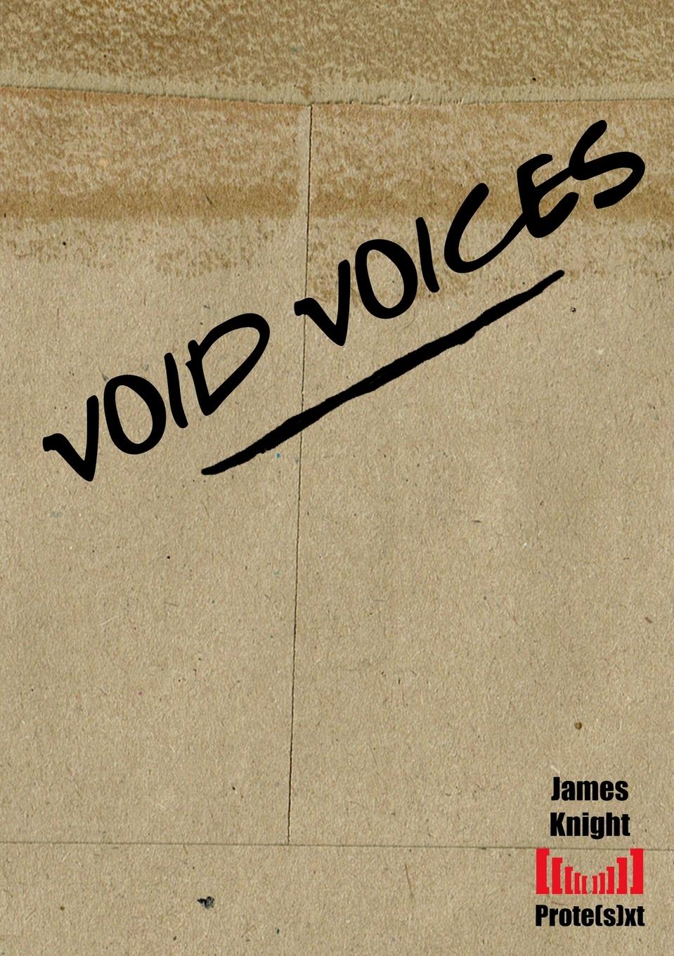 Vorderes Coverbild Void Voices
