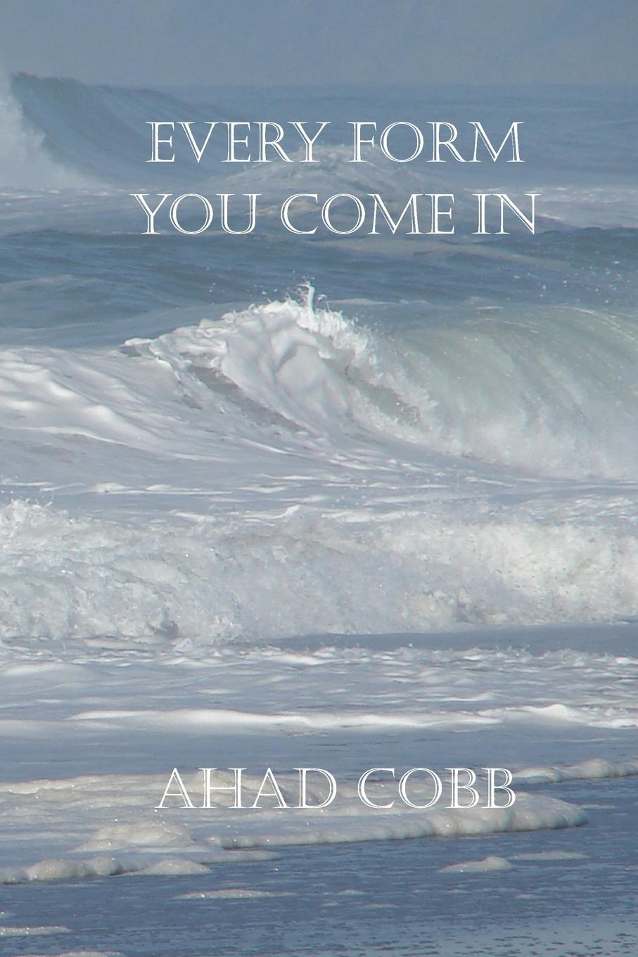 Vorderes Coverbild Every Form You Come In