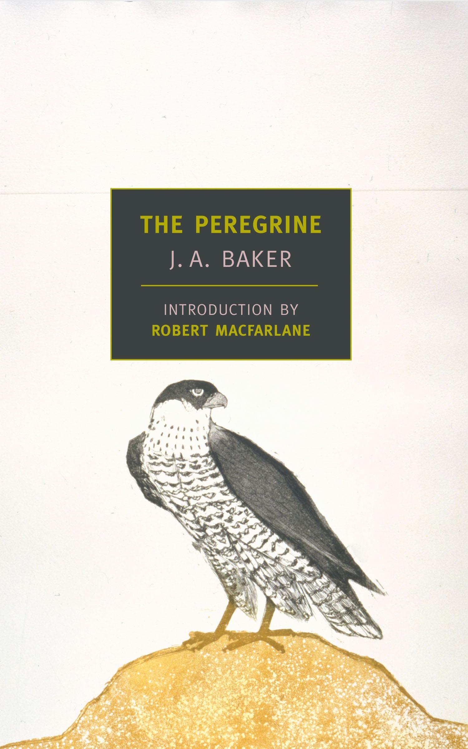Vorderes Coverbild The Peregrine
