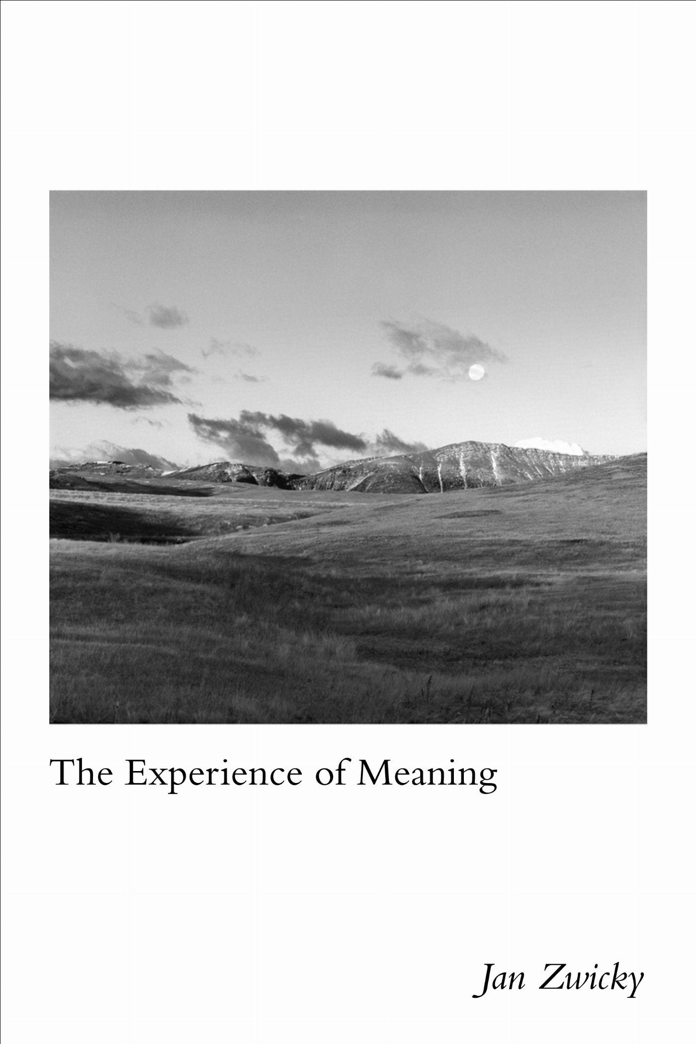 Vorderes Coverbild Experience of Meaning