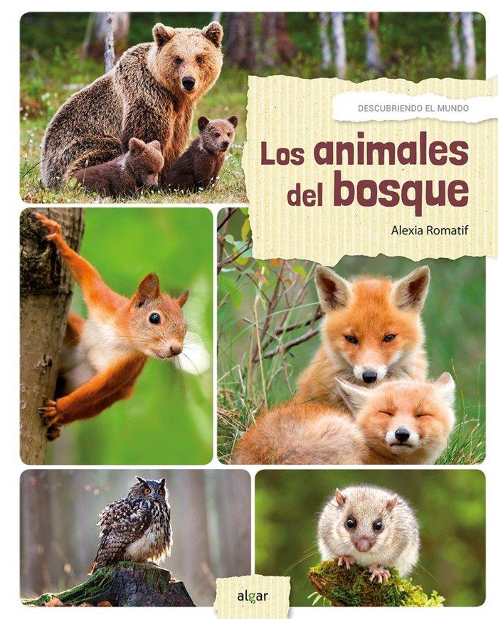 Vorderes Coverbild Los Animales del Bosque