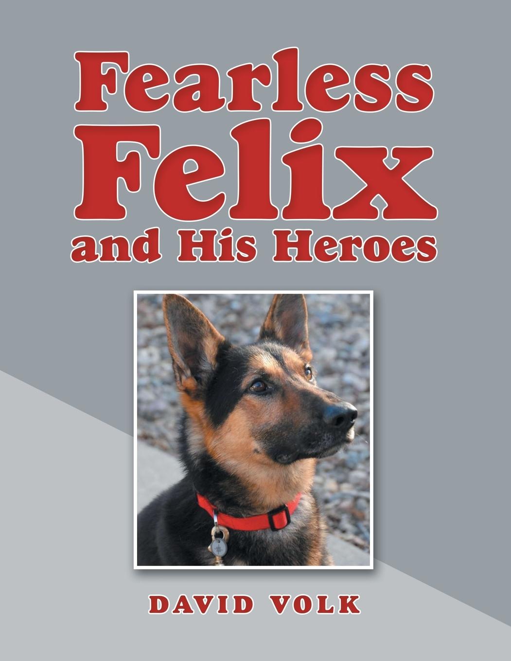 Vorderes Coverbild Fearless Felix and His Heroes