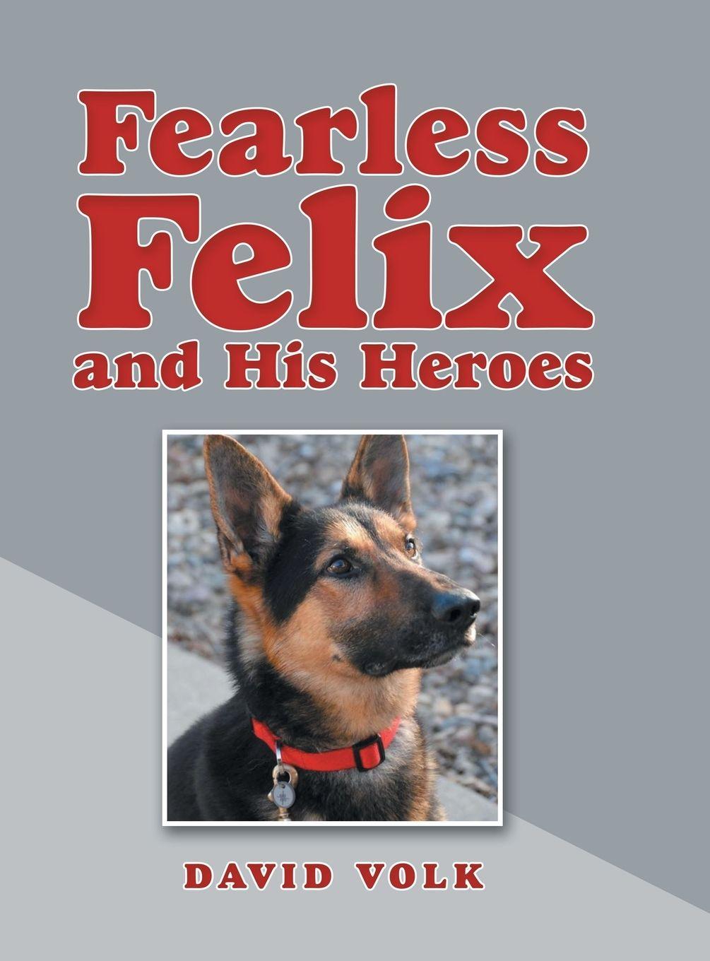 Vorderes Coverbild Fearless Felix and His Heroes
