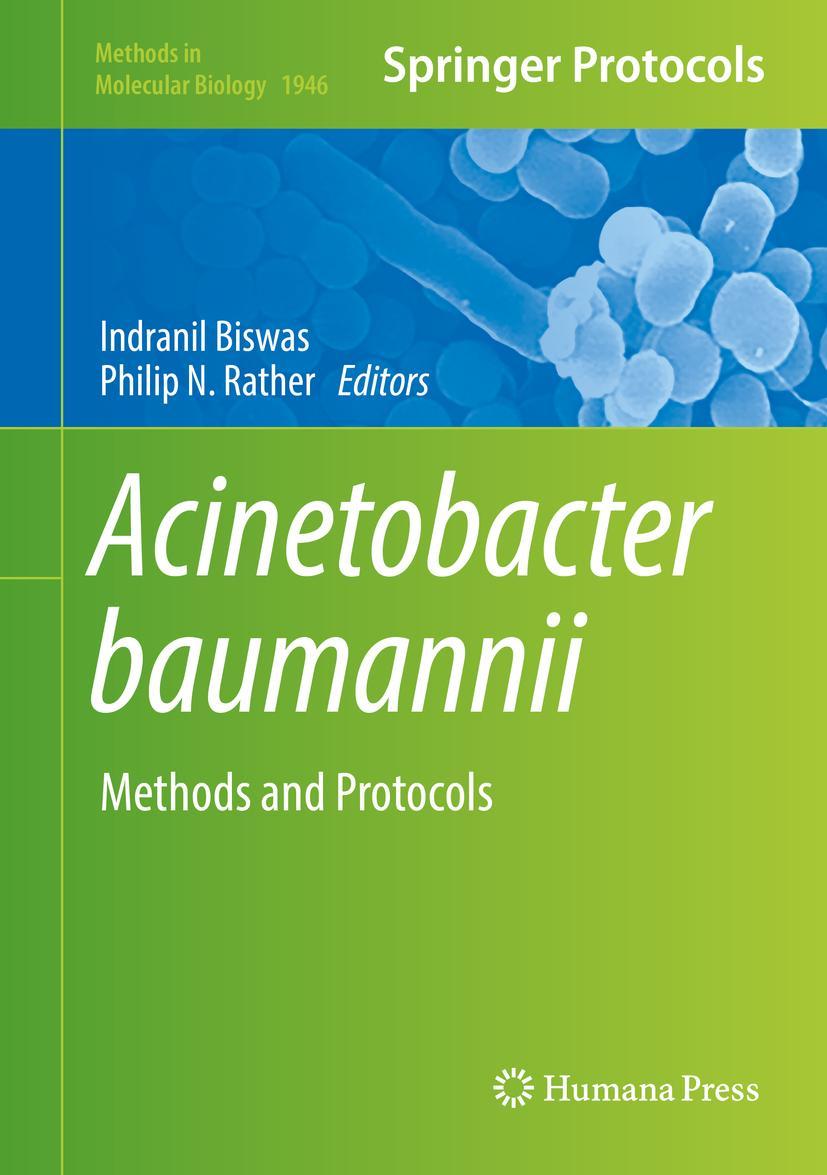 Vorderes Coverbild Acinetobacter baumannii