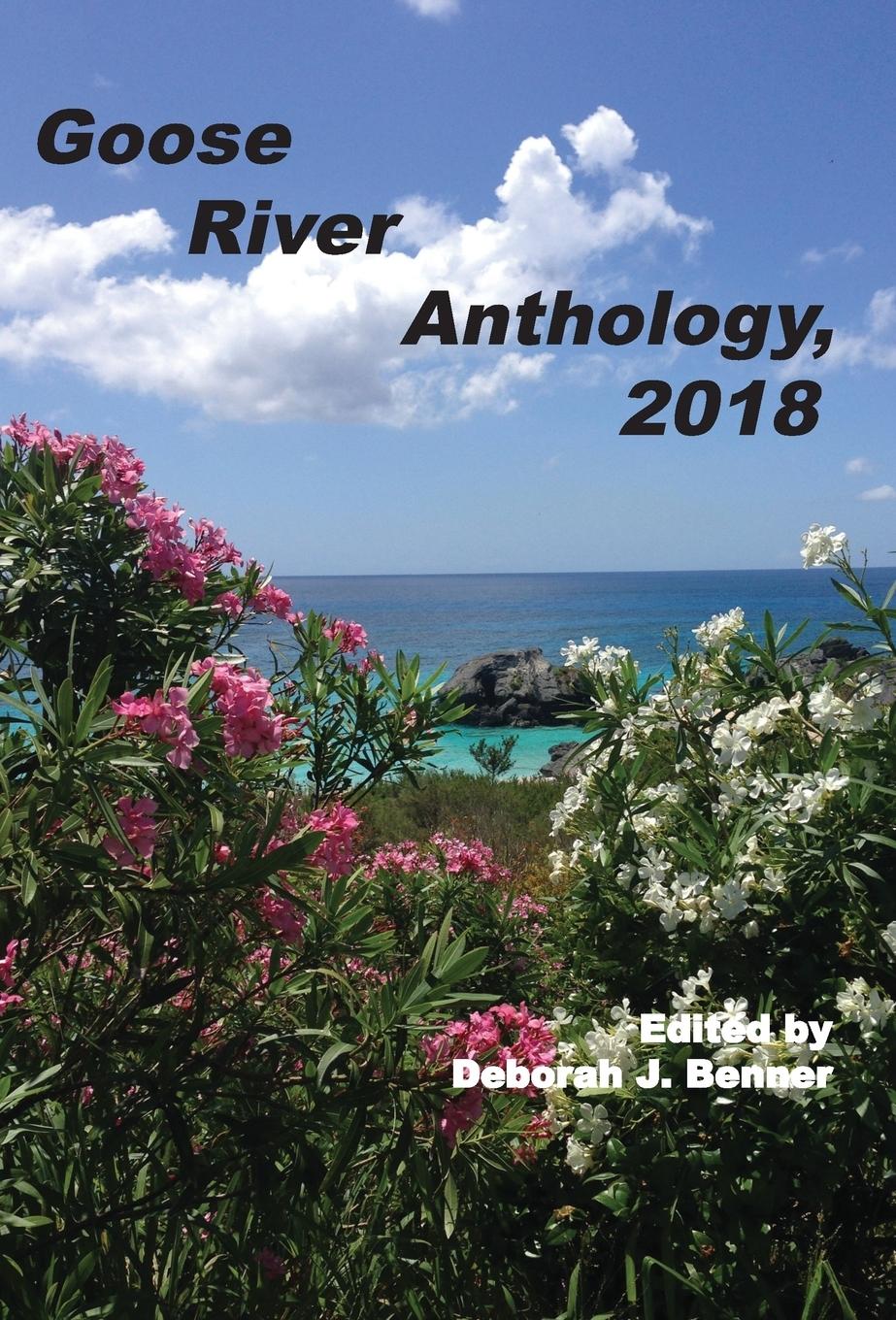 Vorderes Coverbild Goose River Anthology, 2018