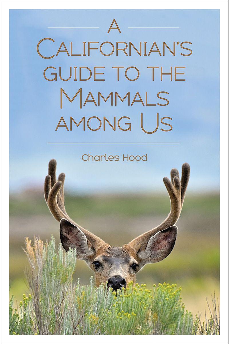 Vorderes Coverbild A Californian's Guide to the Mammals Among Us