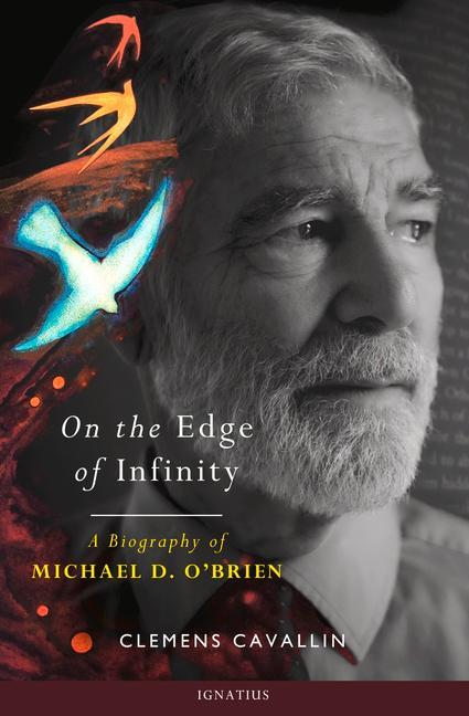 Vorderes Coverbild On the Edge of Infinity: A Biography of Michael D. O'Brien
